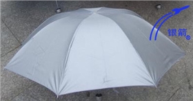 銀箭涂布圖三.jpg 銀箭涂布圖三.jpg